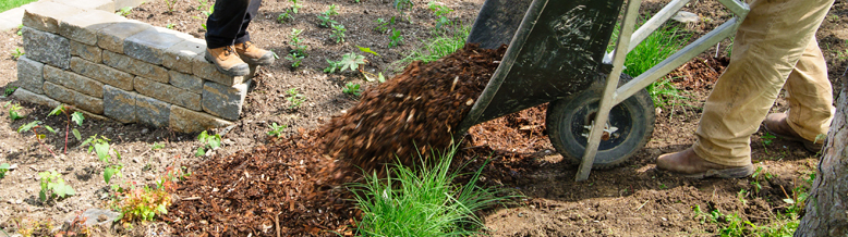 landscape renovation overland park